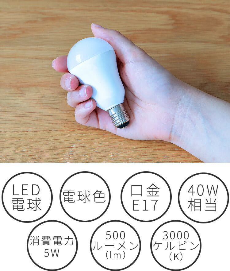 E17 LED電球 500lm