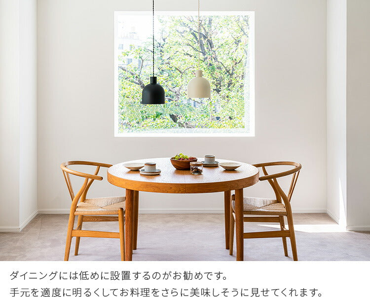 ペンダントライト 1灯 ルーエ