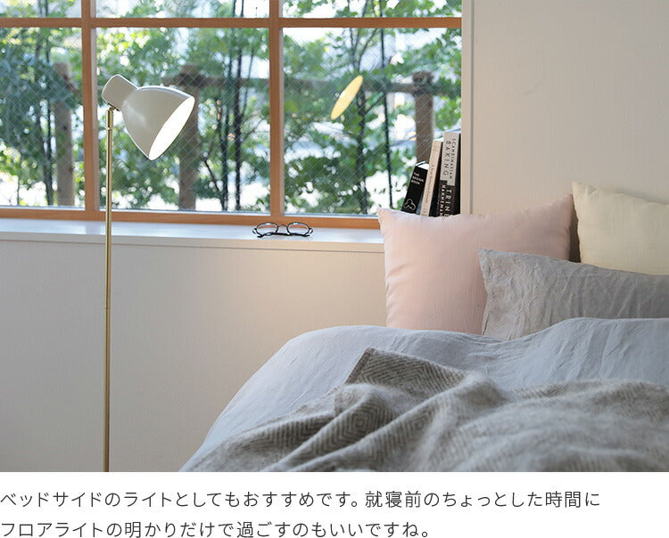 schon フロアライト seeni シーニ