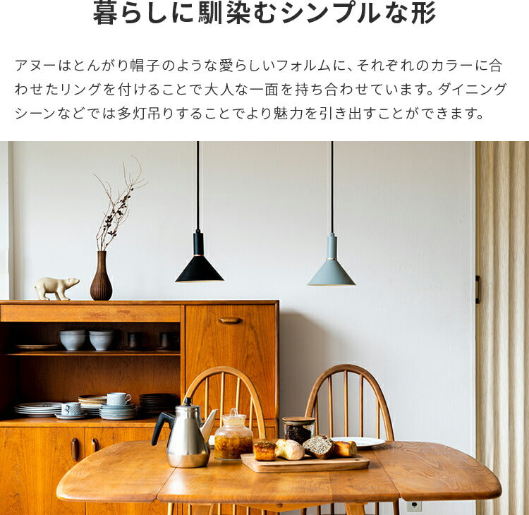 1灯ペンダントライト アヌー(Anneau)