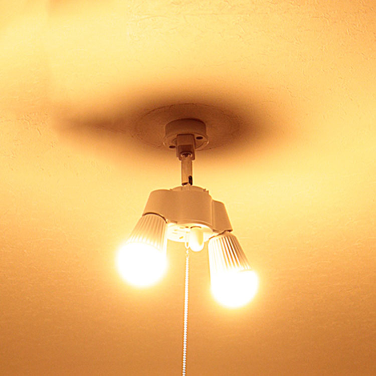 2灯 シンプルソケット BBA-003 照明 照明器具 天井照明 LED電球