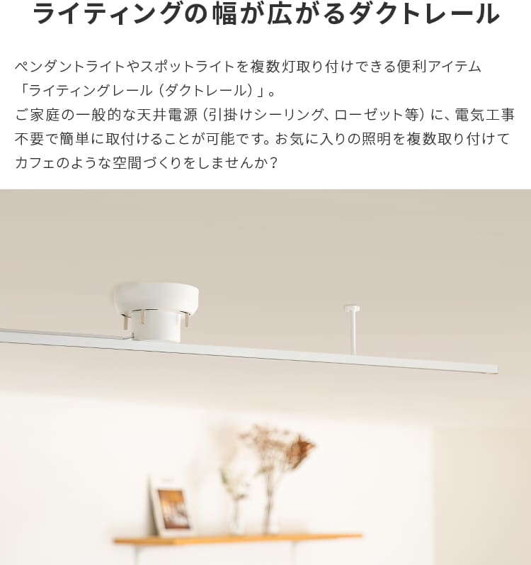 アクセサリー ライティングレール 1.5m