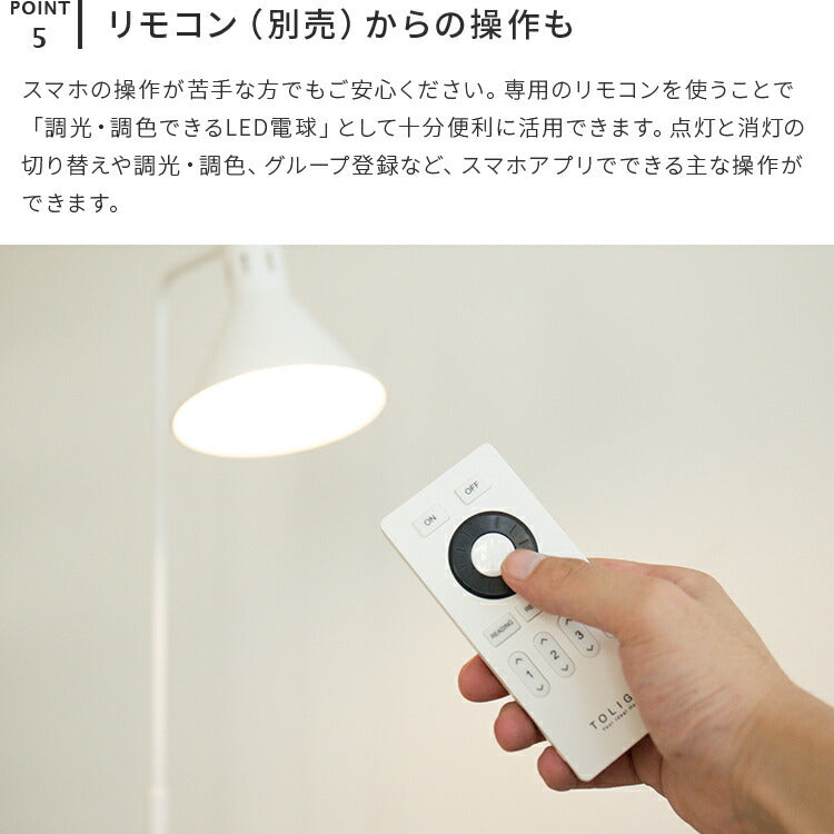 アシュトンリモート 1灯 本体+トリゴ