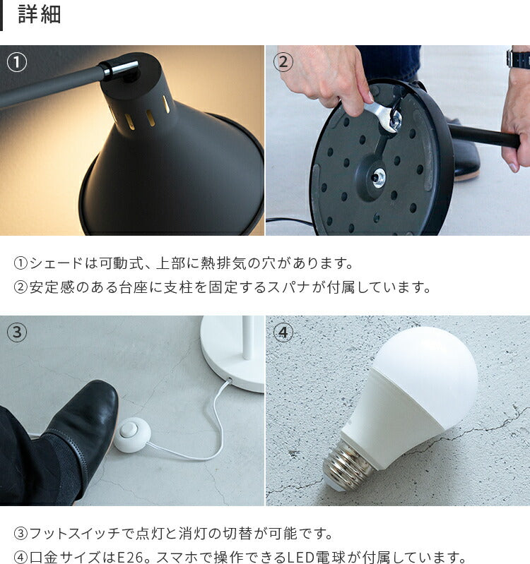 アシュトンリモート 1灯 本体+トリゴ