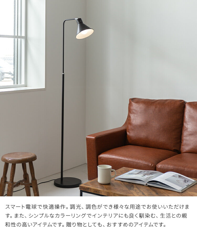 アシュトンリモート 1灯 本体+トリゴ