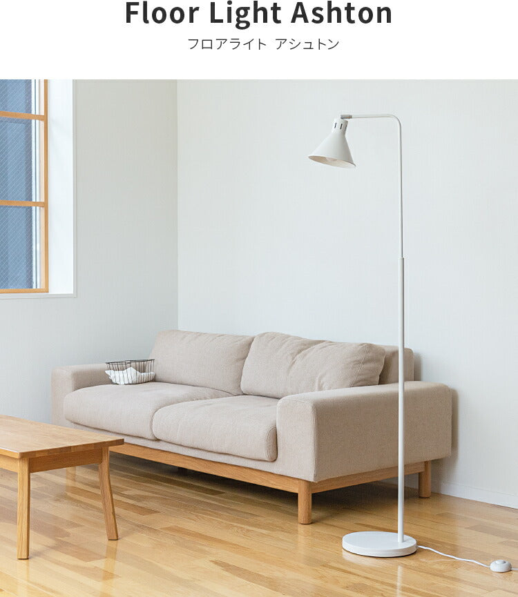 アシュトンリモート 1灯 本体+トリゴ