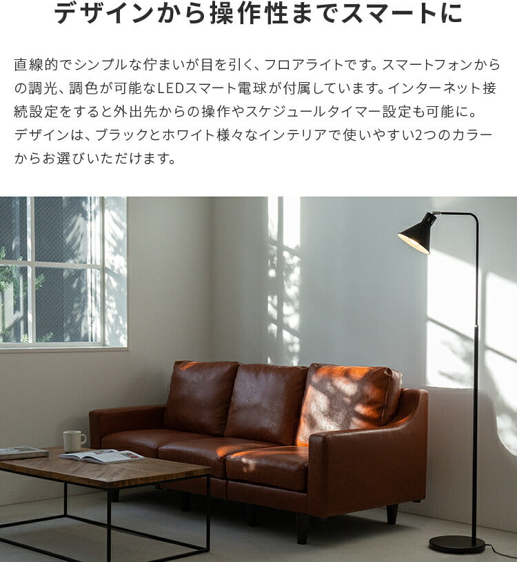 アシュトンリモート 1灯 本体+トリゴ
