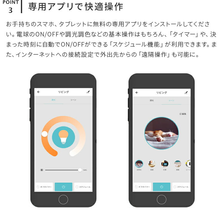 アシュトンリモート 1灯 本体+トリゴ