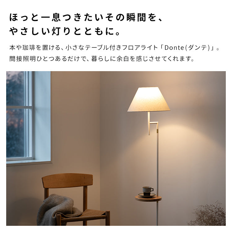 フロアライト 1灯 ダンテ