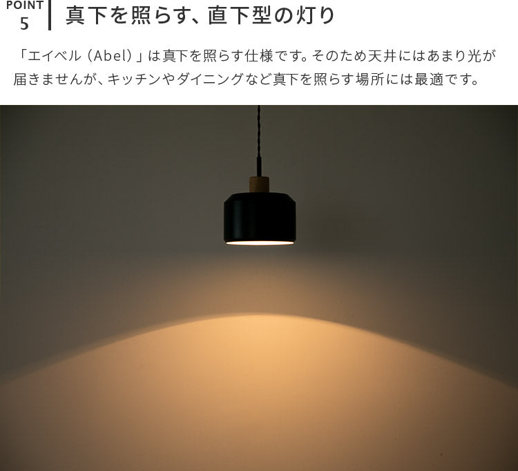 ペンダントライト 1灯 エイベル