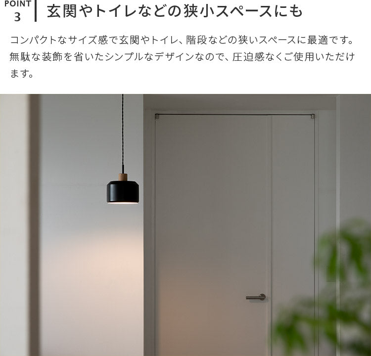 ペンダントライト 1灯 エイベル
