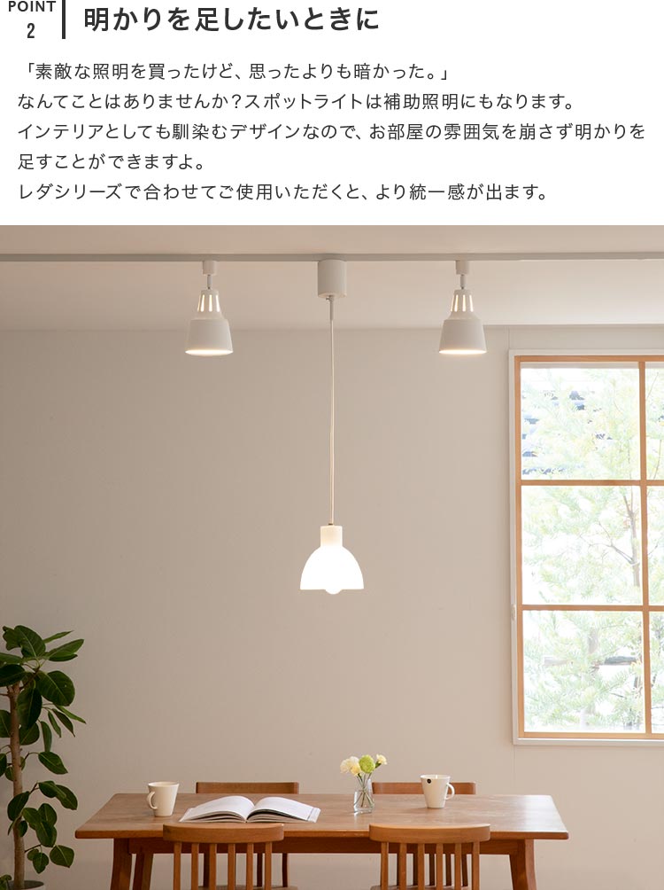 シーリングライト 1灯 ライトリーダクト