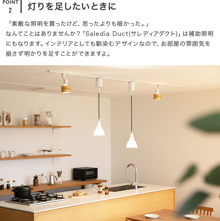スポットライト 1灯 サレディアダクト