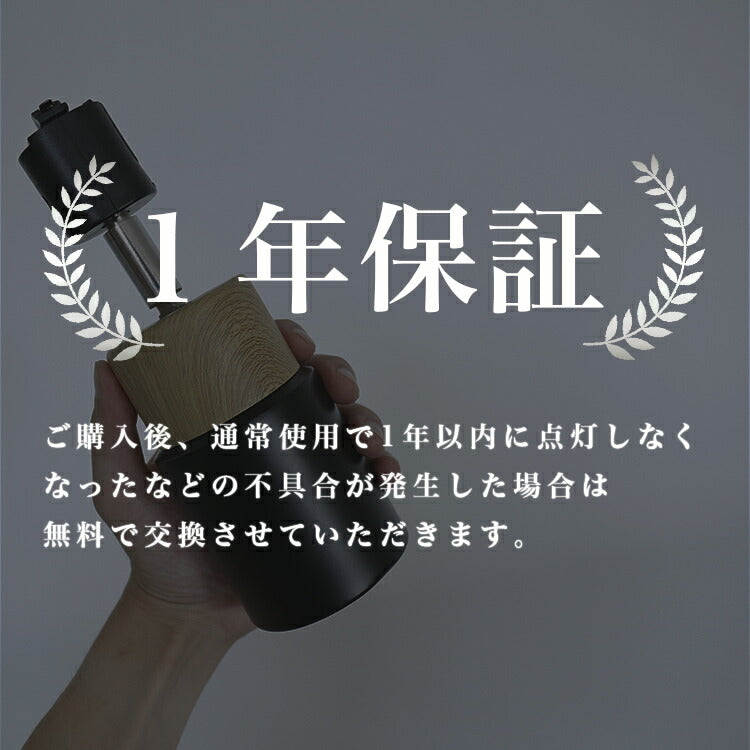 スポットライト 1灯 エトーレ