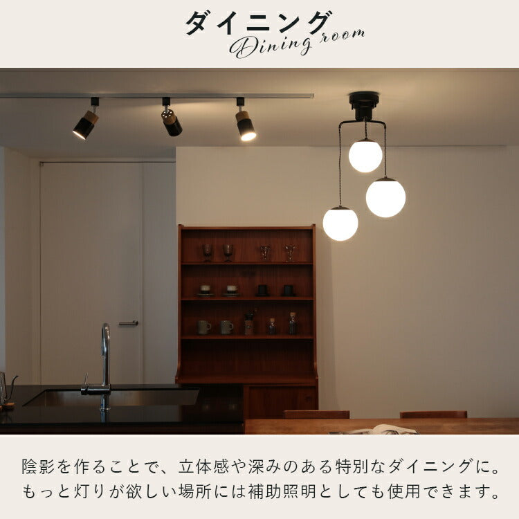 スポットライト 1灯 エトーレ