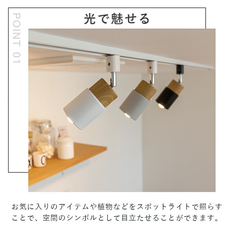 スポットライト 1灯 エトーレ