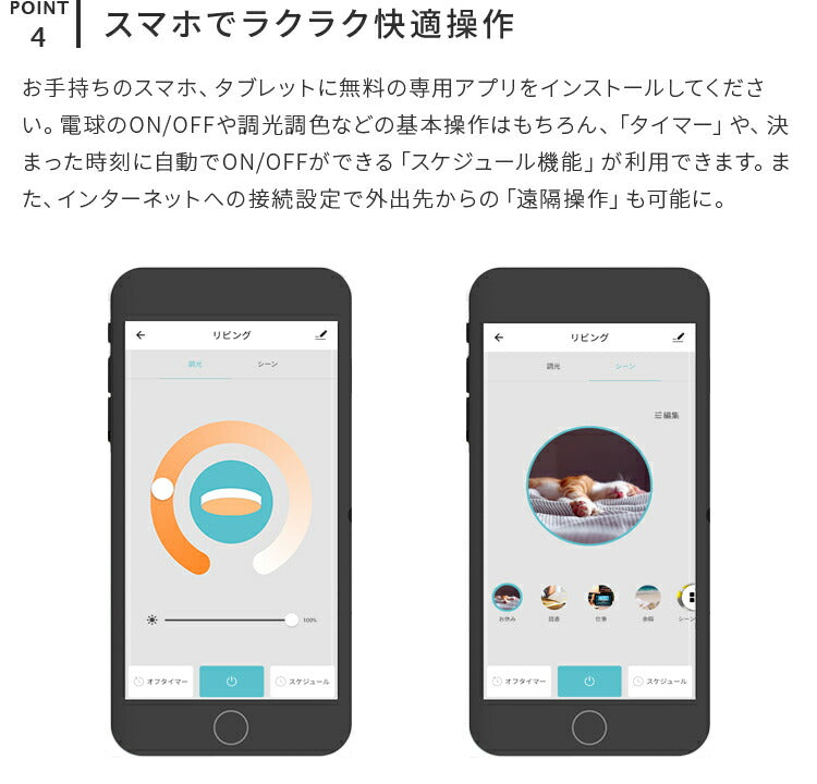 フラヴィアリモート 1灯 本体+トリゴ