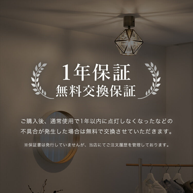 シーリングライト 1灯 レイヴァ