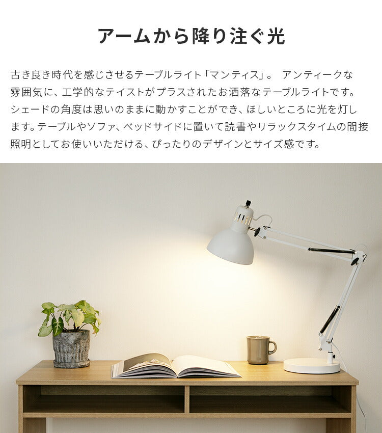 テーブルライト 1灯 マンティス