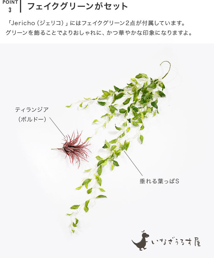 ペンダントライト 1灯 ジェリコ フェイクグリーンセット