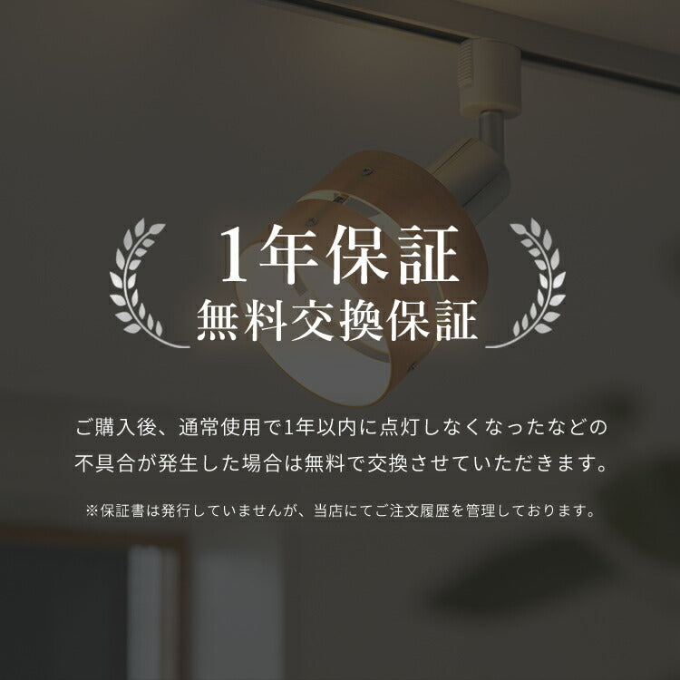 スポットライト 1灯 レダダクト