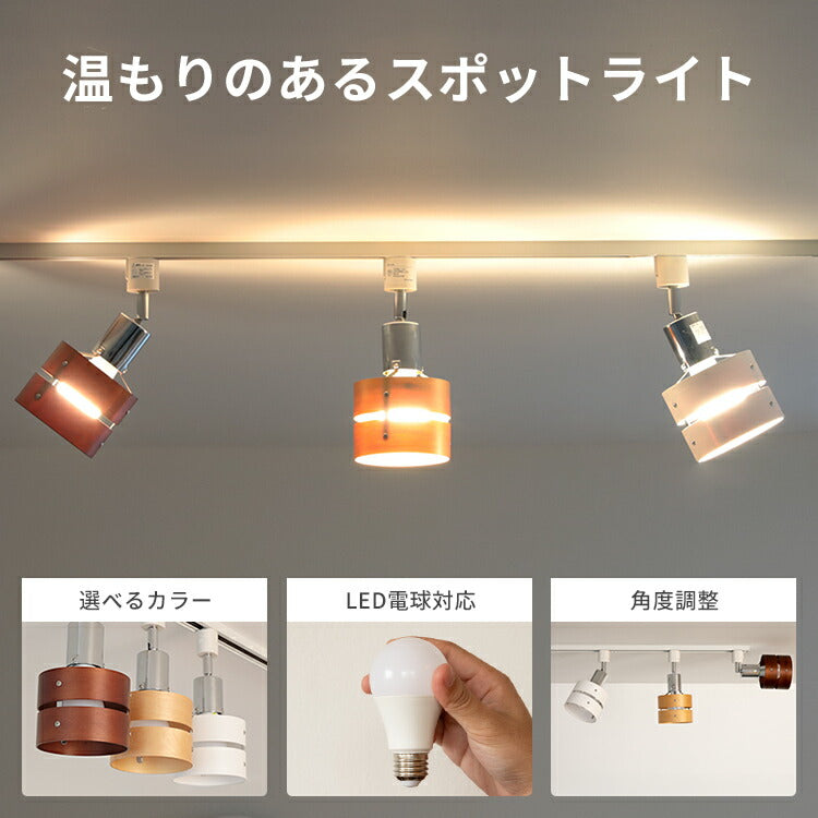 スポットライト 1灯 レダダクト