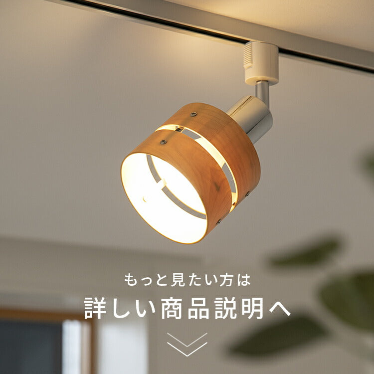 スポットライト 1灯 レダダクト