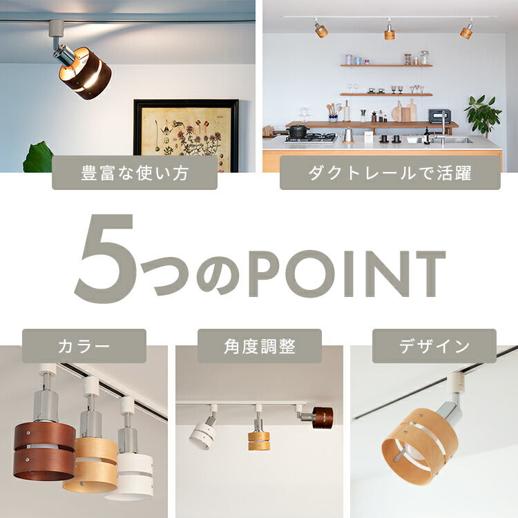 スポットライト 1灯 レダダクト