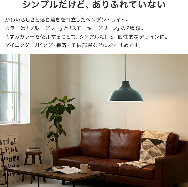 ペンダントライト 1灯 EXP-001