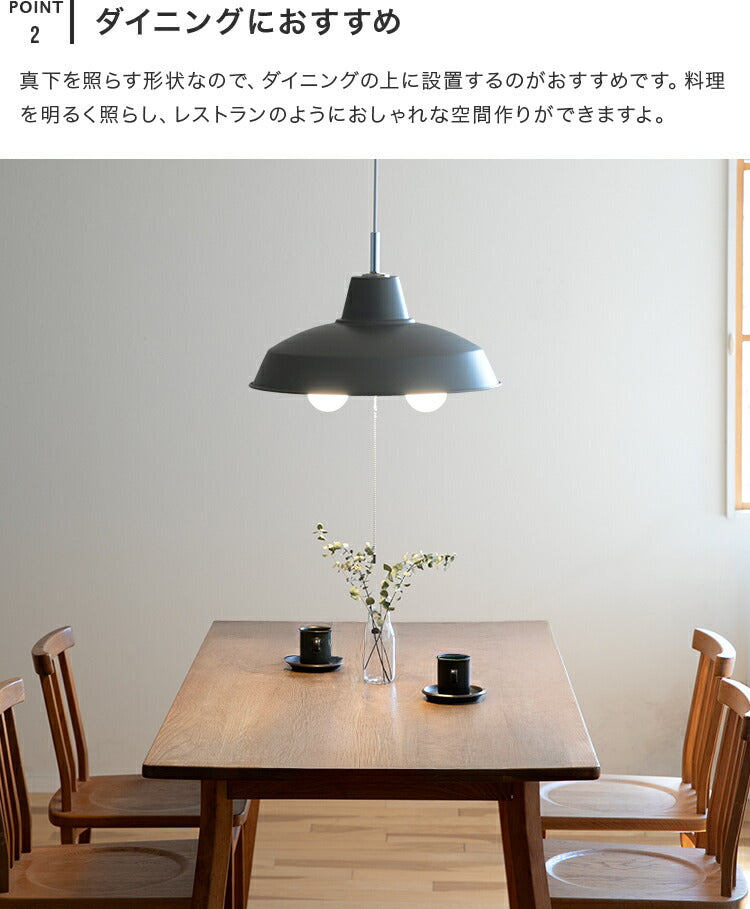 ペンダントライト 1灯 EXP-003