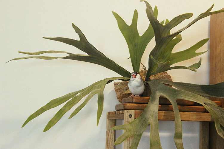 光触媒 人工観葉植物 ウォールグリーン フェイクグリーン