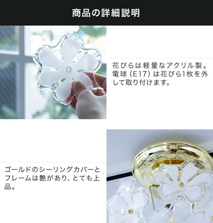 シーリングライト 1灯 ブルーム