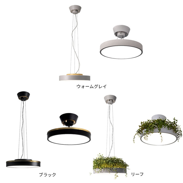 LED Giorno ジョルノ シーリング ペンダントランプ