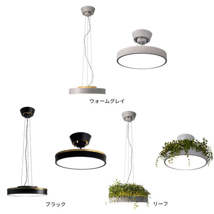 LED Giorno ジョルノ シーリング ペンダントランプ