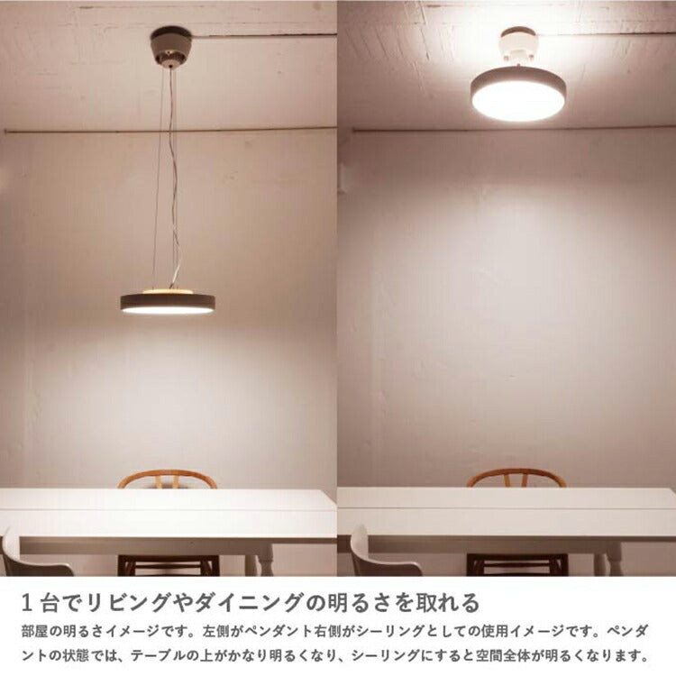LED Giorno ジョルノ シーリング ペンダントランプ