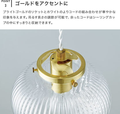 ペンダントライト 1灯 プリュネ