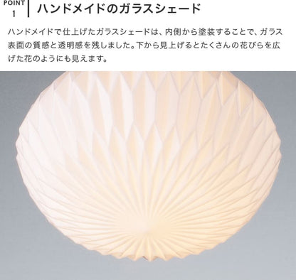 ペンダントライト 1灯 ダフネ