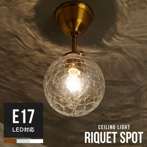 シーリングライト 1灯 リケー スポット
