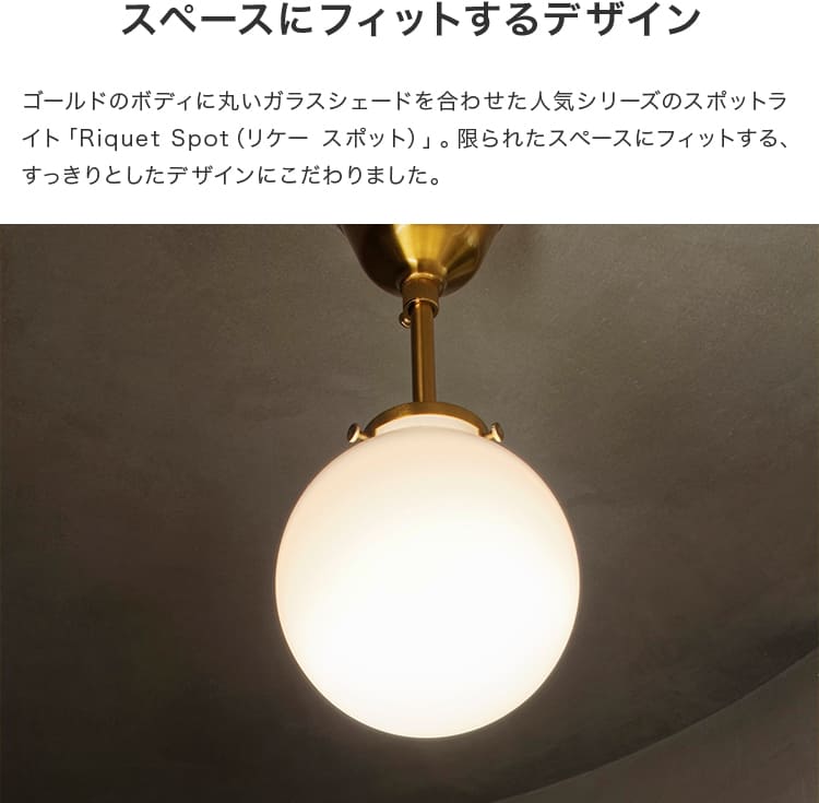 シーリングライト 1灯 リケー スポット
