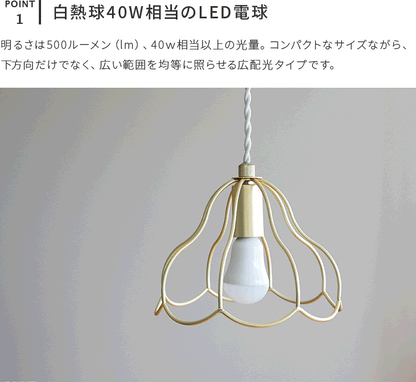 E17 LED電球 500lm