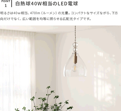 E17 LEDエジソン電球 470lm
