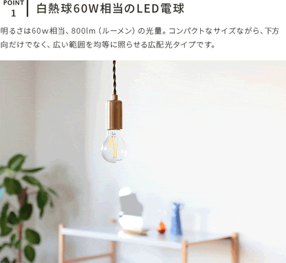 E26LEDエジソン電球 800lm
