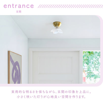 pelata シーリングライト1灯 lilac ライラック