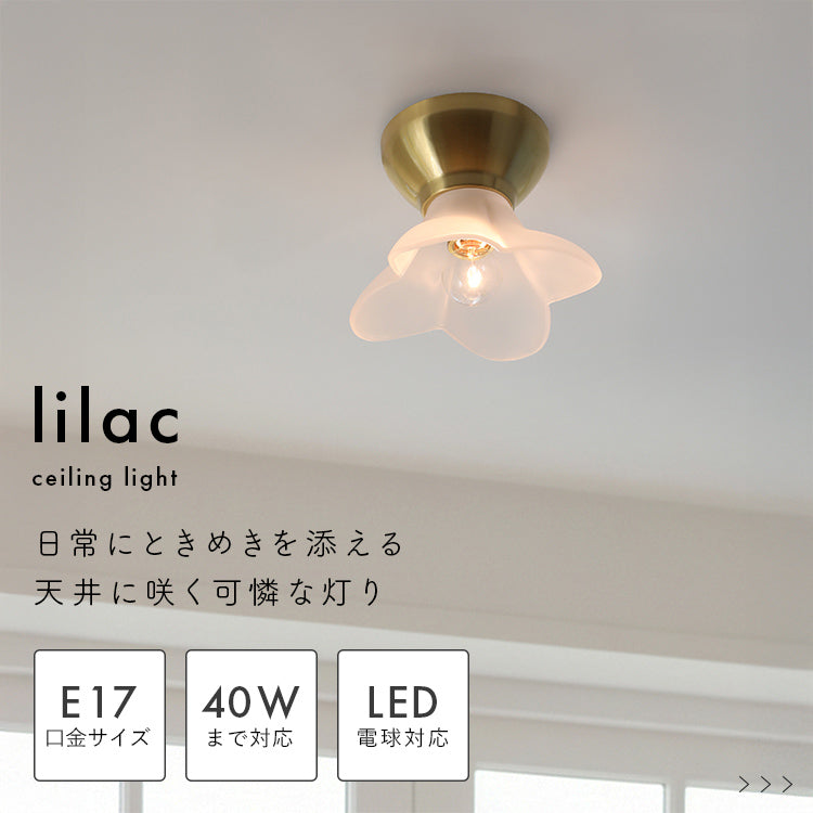 pelata シーリングライト1灯 lilac ライラック