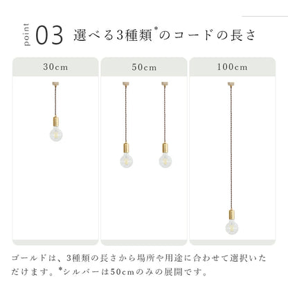 ペンダントライト 1灯 regen レーゲン