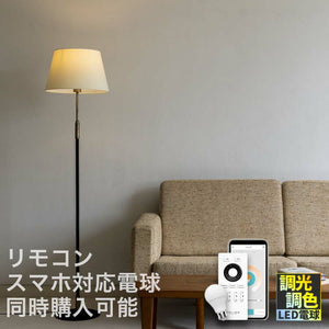 フロアライト 1灯 デリシア