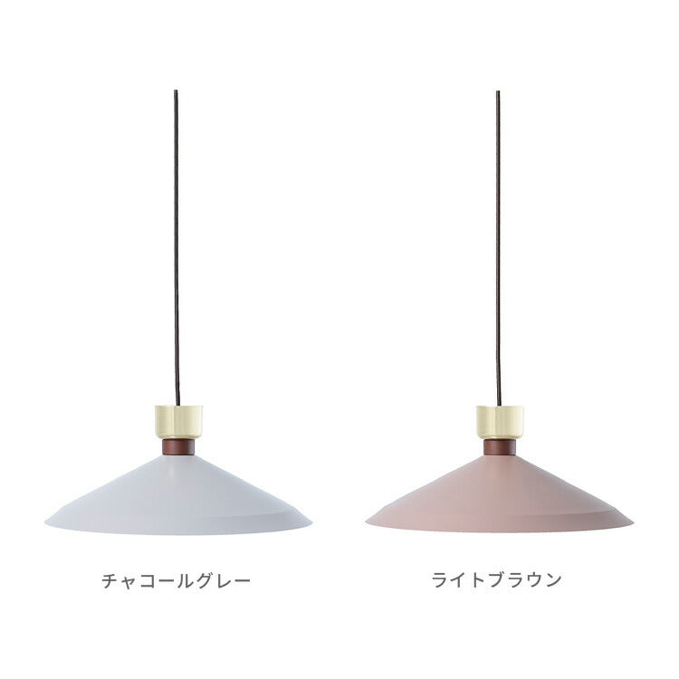 1灯ペンダントライト　ボアザン　Voisin