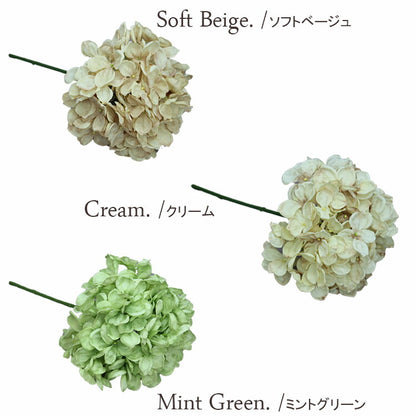 アンティーク紫陽花(クリーム)
