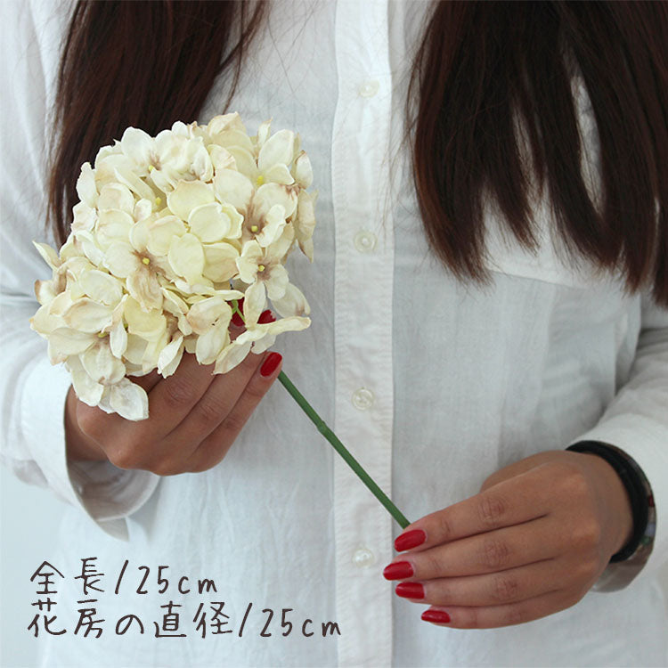 アンティーク紫陽花(クリーム)