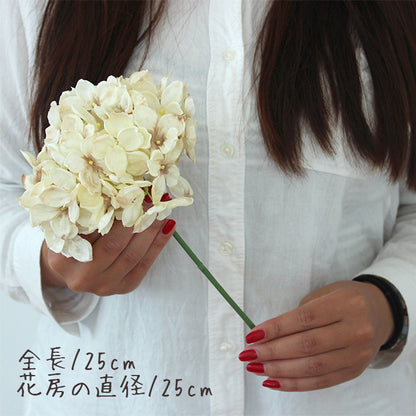 アンティーク紫陽花(クリーム)